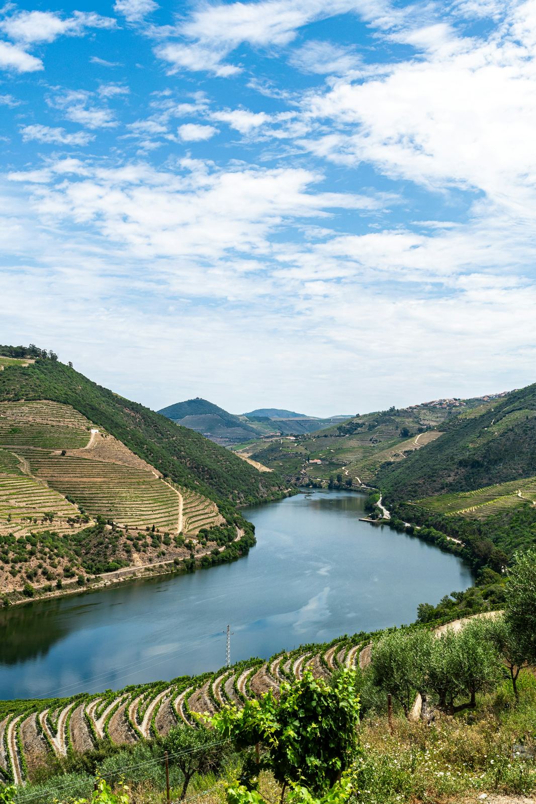 Rio Douro cercado por montanhas e vinhedos em socalcos, Portugal
